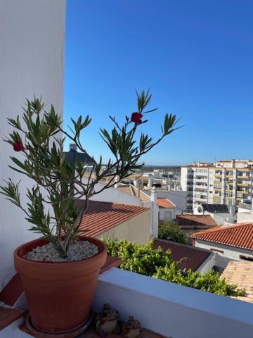 Casa Alegria - Ocean View - Centre Apartamento Lagos