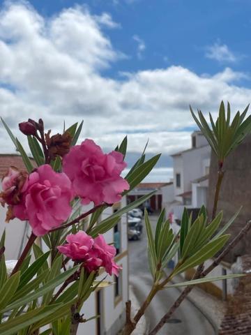 Casa Alegria - Ocean View - Centre *
